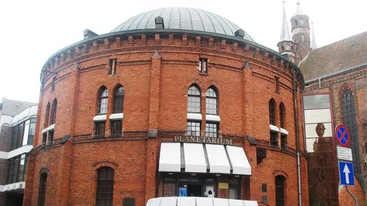 Niezwykłe gatunki małp i adaptacje