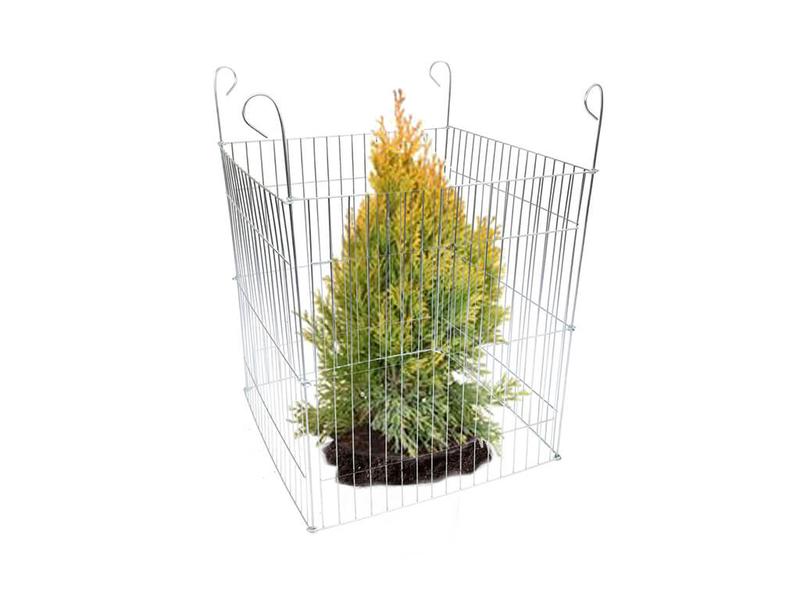 Ochrona drzewek przed psem