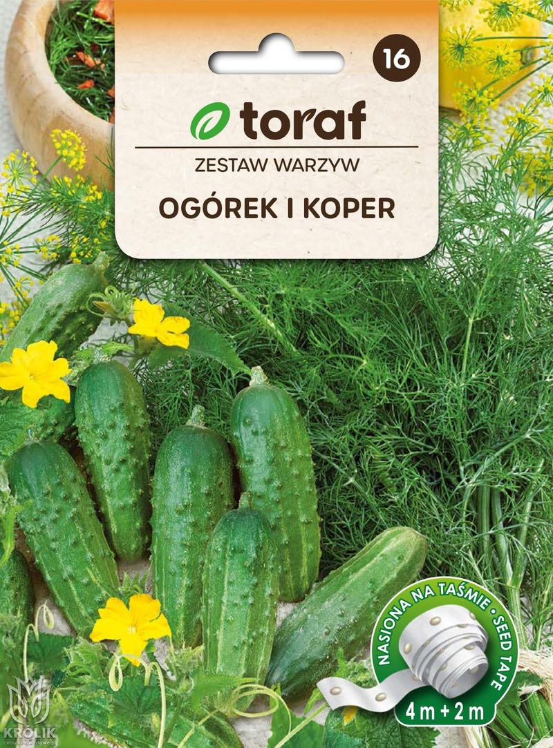 Ogórki w diecie królika