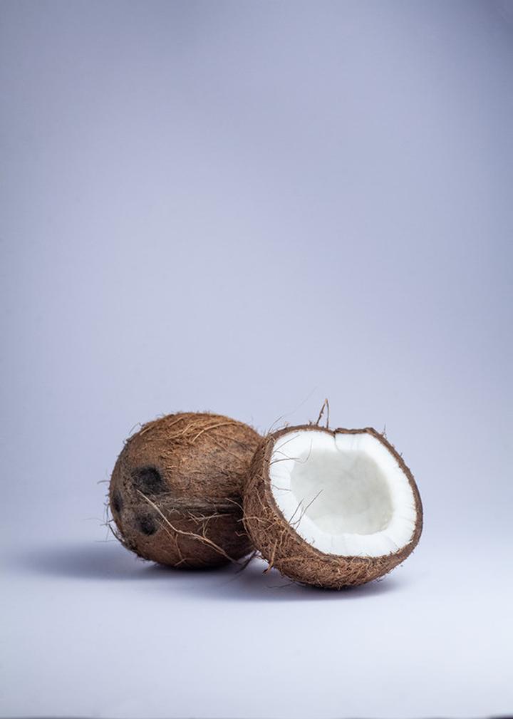 Organizmy w orzechu kokosowym w akwarium