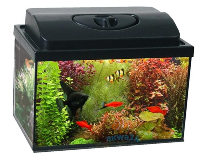 Oświetlenie akwarium 25l