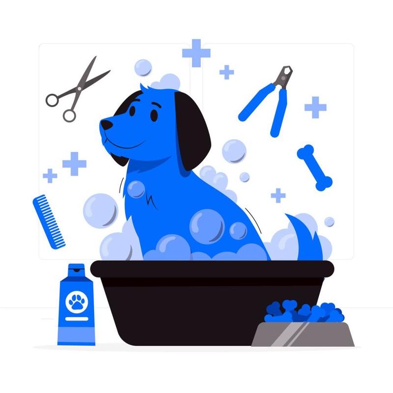 Pielęgnacja psa i kąpiel