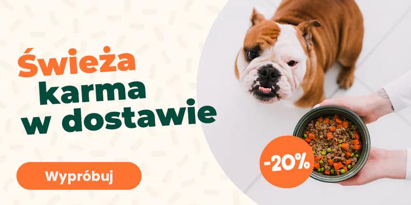 Pierwsza pomoc przy zatruciu psa