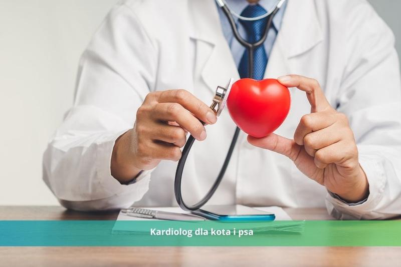 Przyczyny głośnego oddychania psa