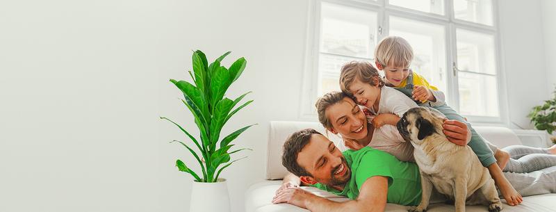 Przygotowanie przestrzeni dla psa