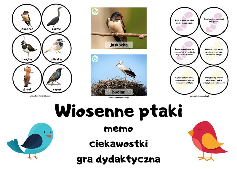 Ptasie śpiewy wiosną