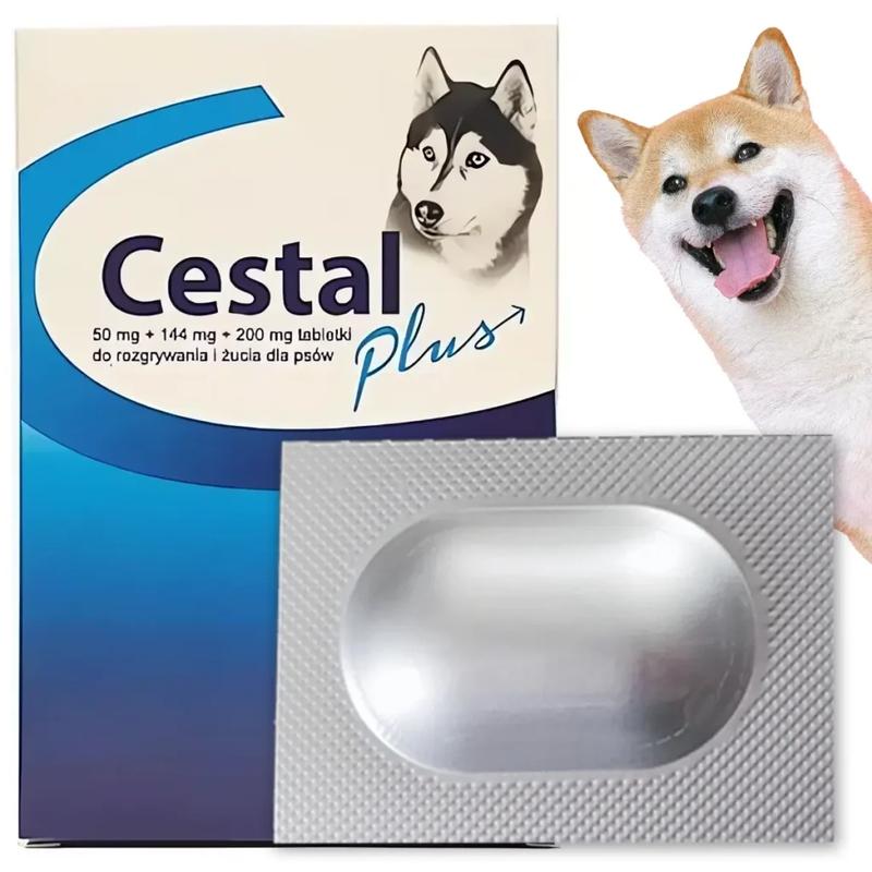 Regularne odrobaczanie a zdrowie psa