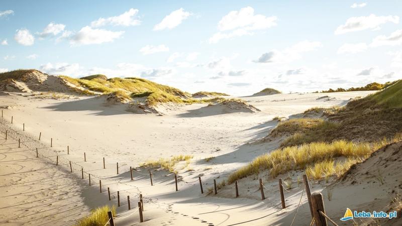 Słowiński Park Narodowy zwierzęta