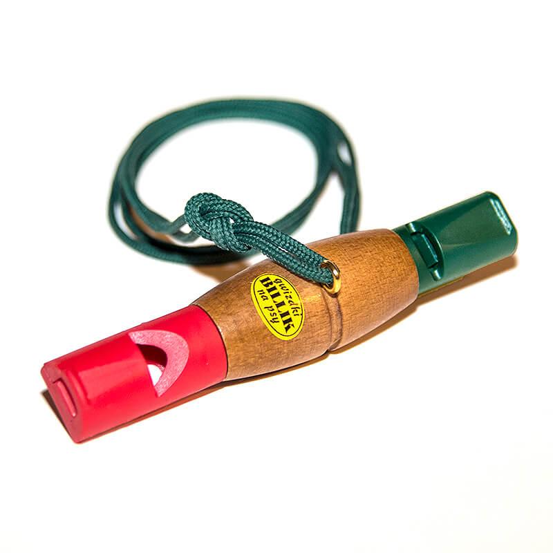 Szkolenie psów gwizdkiem – zalety i wady