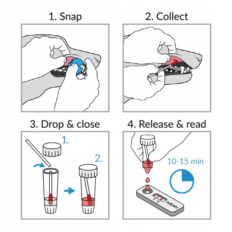 Wiarygodność testów ciążowych u psów