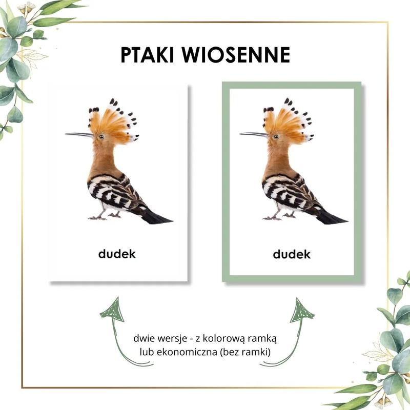 Wiosenne ptaki ogrodowe