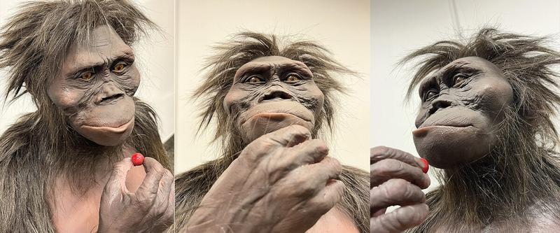 Wirtualne safari i technologia