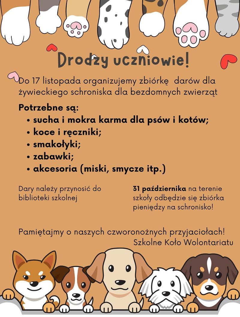 Wolontariat w schronisku dla zwierząt