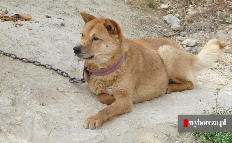 Zmiany społeczne w Korei Południowej