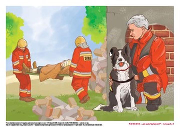 Zwierzęta ratują ludzi