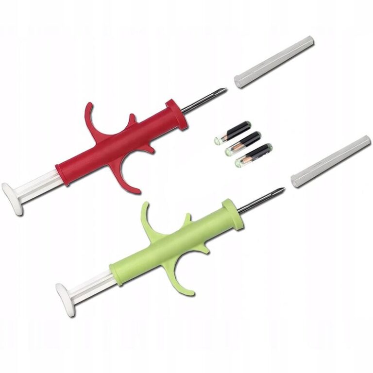 Czy warto wiedzieć, co to chip u psa? Praktyczne informacje dla właścicieli czworonogów