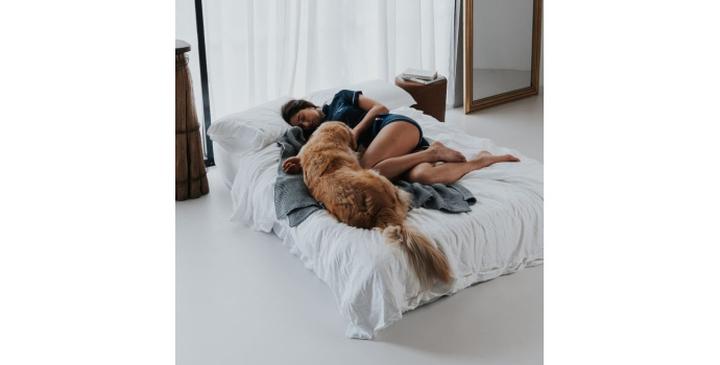 Dlaczego warto unikać wspólnego snu z psem w łóżku?