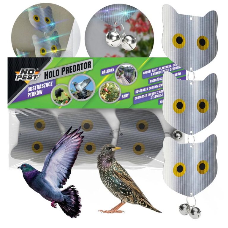 Jakie niebezpieczeństwa czyhają na gołębie w postaci innych ptaków?