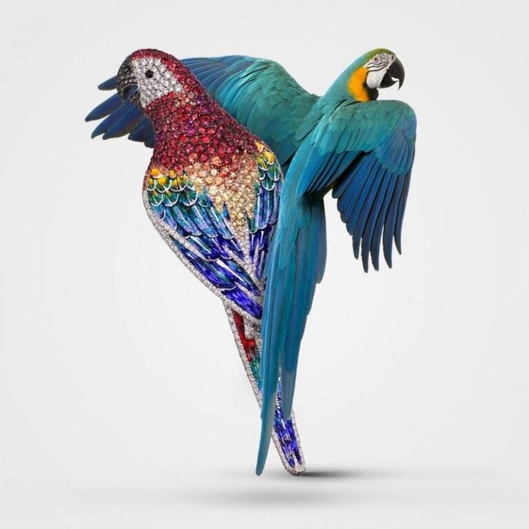 Jakie są ceny najdroższych papug na rynku?