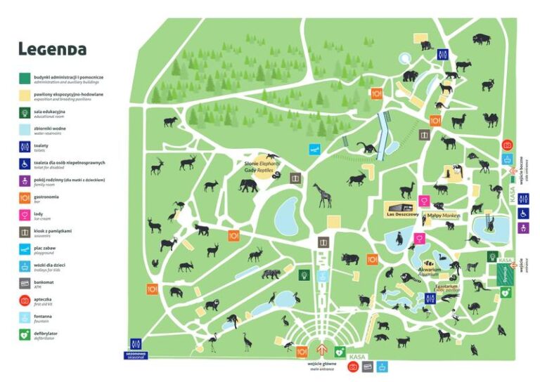 Kiedy odwiedzić zoo w Chorzowie? Sprawdź aktualne godziny otwarcia!