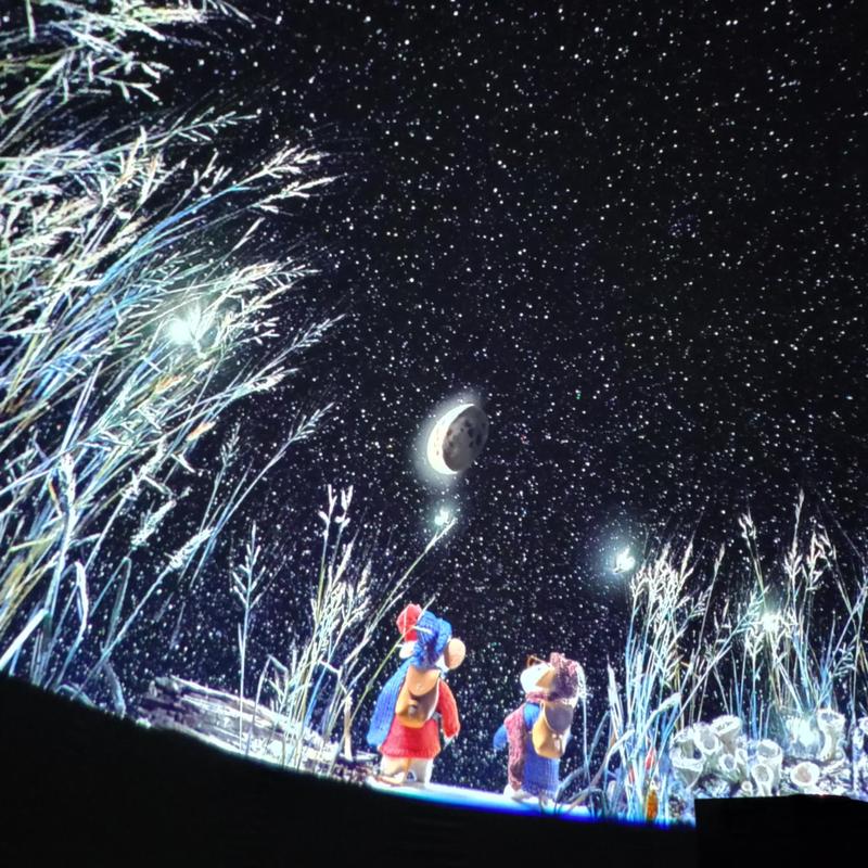 Odkryj, jak oglądać planetę małp i zanurzyć się w fascynujący świat zwierząt