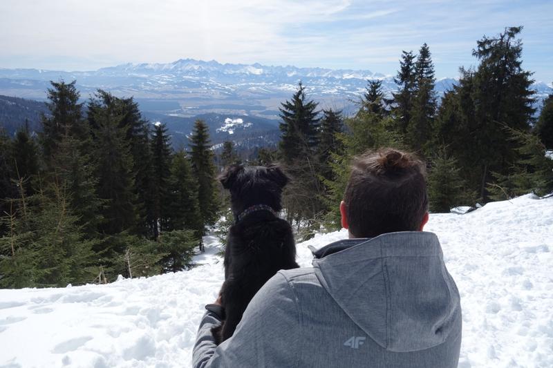 Przygoda z pupilem: czy warto wyruszyć na Turbacz z psem?