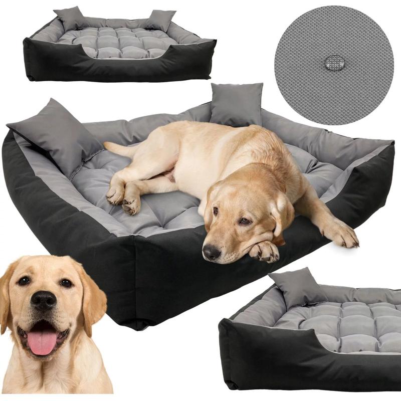 Wybór idealnego legowiska dla labradora – jaki rozmiar wybrać?