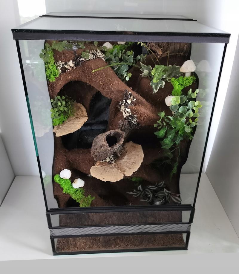 Budowa ścianki w terrarium