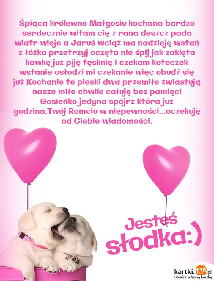 Charakter i zachowanie psa