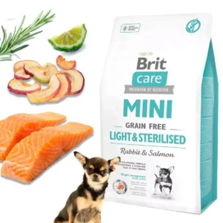 Dieta i żywienie psa