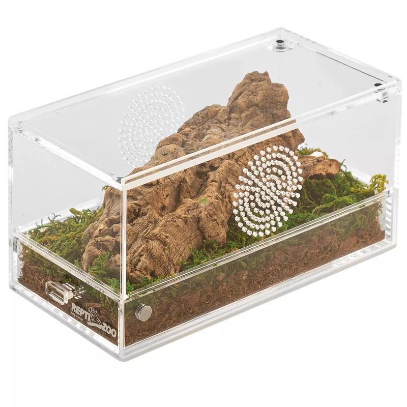 Dobór roślin do terrarium