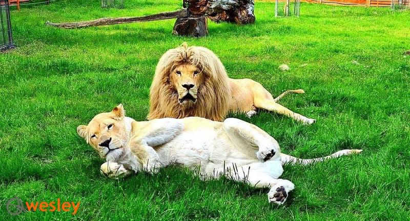 Ekoturystyka w Polsce