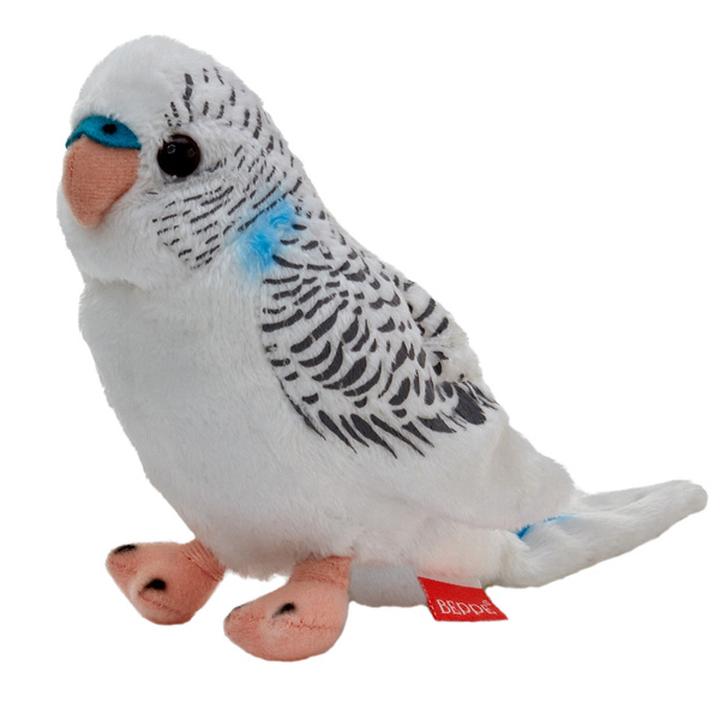 Klatka i środowisko życia papugi