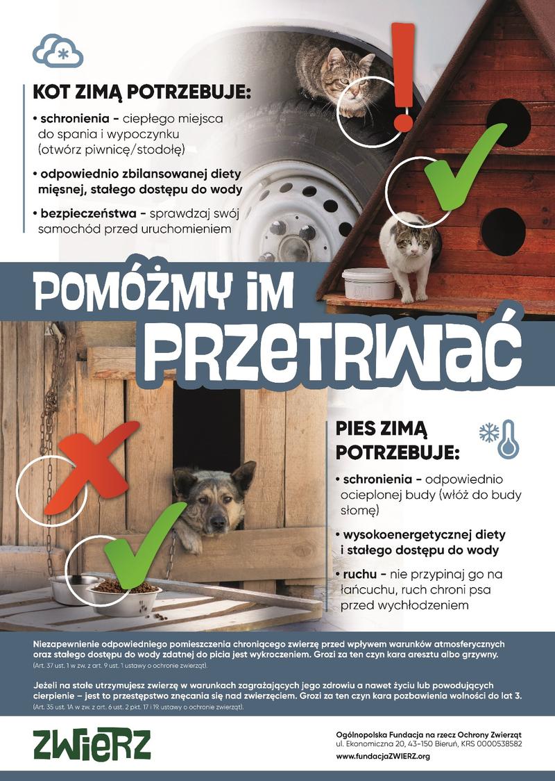 Magazynowanie żywności przez chomiki