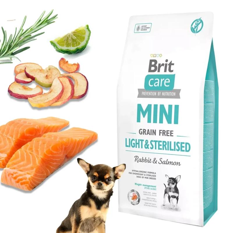 Motywacja i psychologia psa