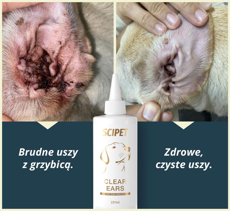 Naturalne czyszczenie uszu psa