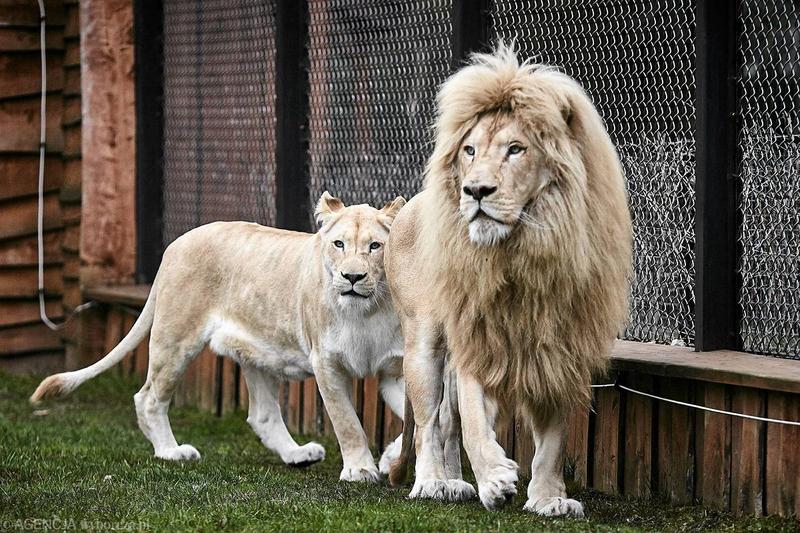 Ochrona przyrody i edukacja