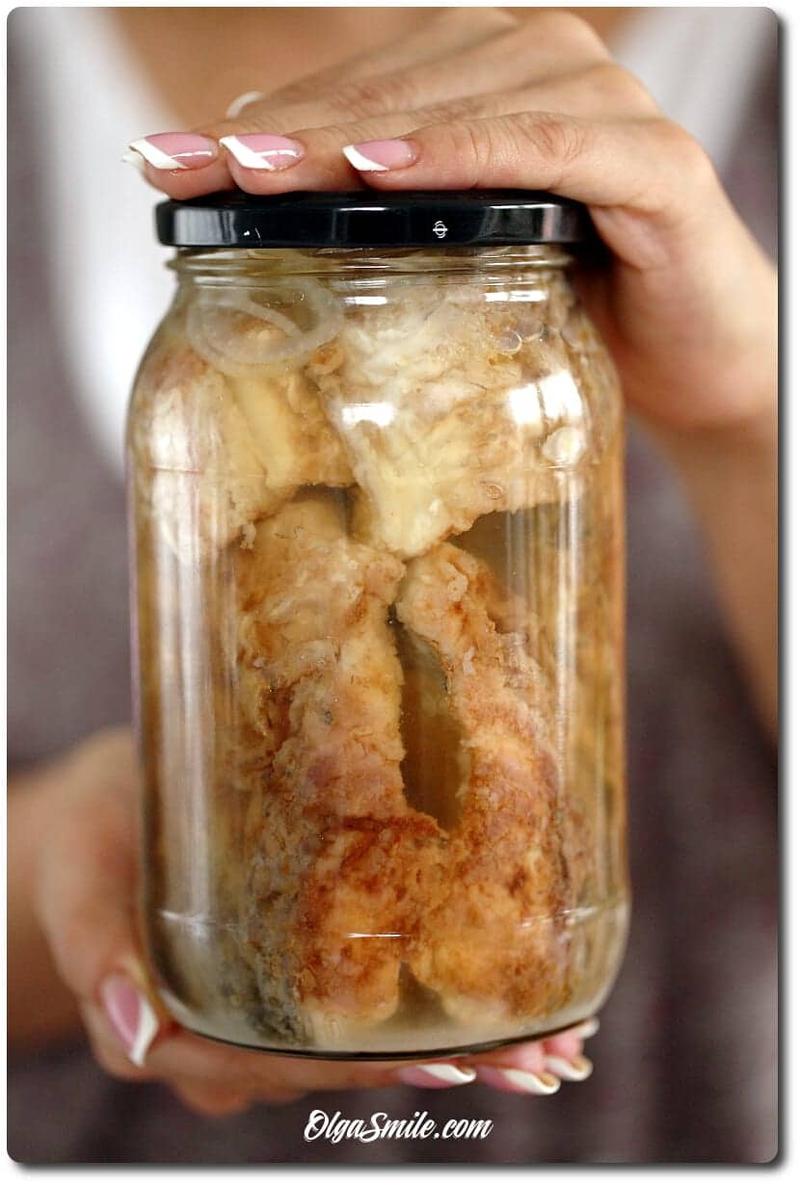 Optymalne warunki życia rybek