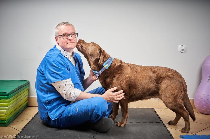 Organizacje ochrony zwierząt