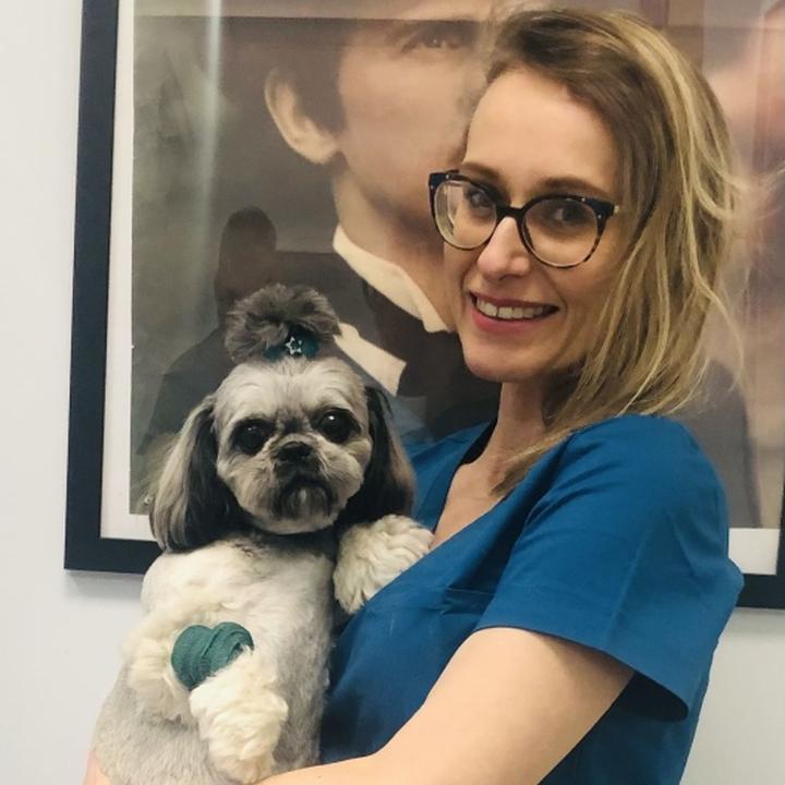 Pomoc dla bitego psa