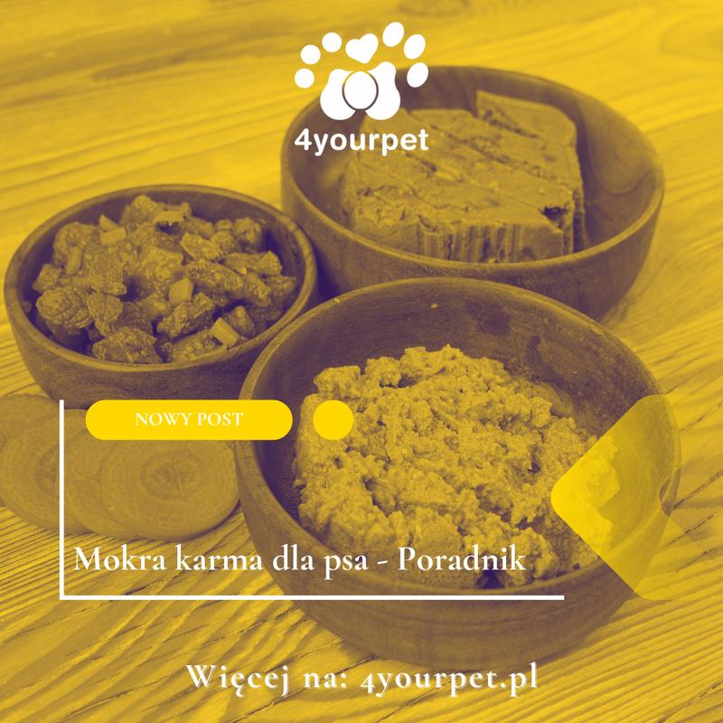 Porcja 150 g karmy dla psa