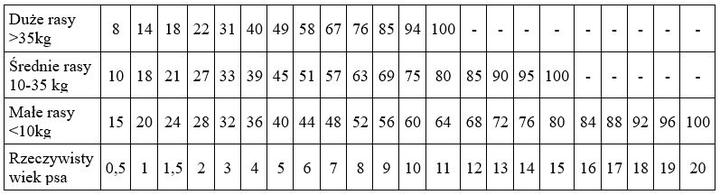 Przeliczanie wieku psa na ludzki wiek
