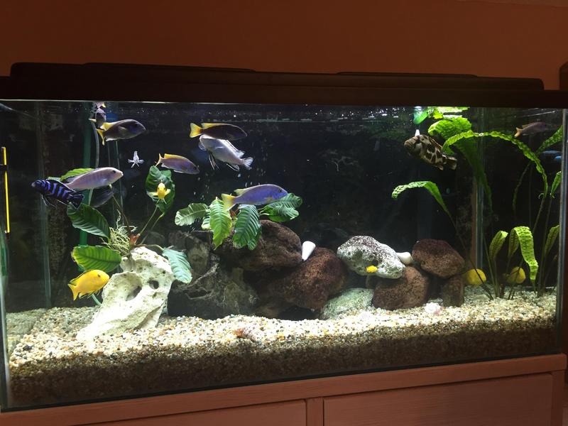 Przygotowanie i pielęgnacja podłoża