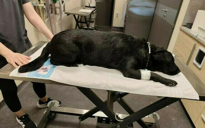 Rehabilitacja i wsparcie po leczeniu onkologicznym