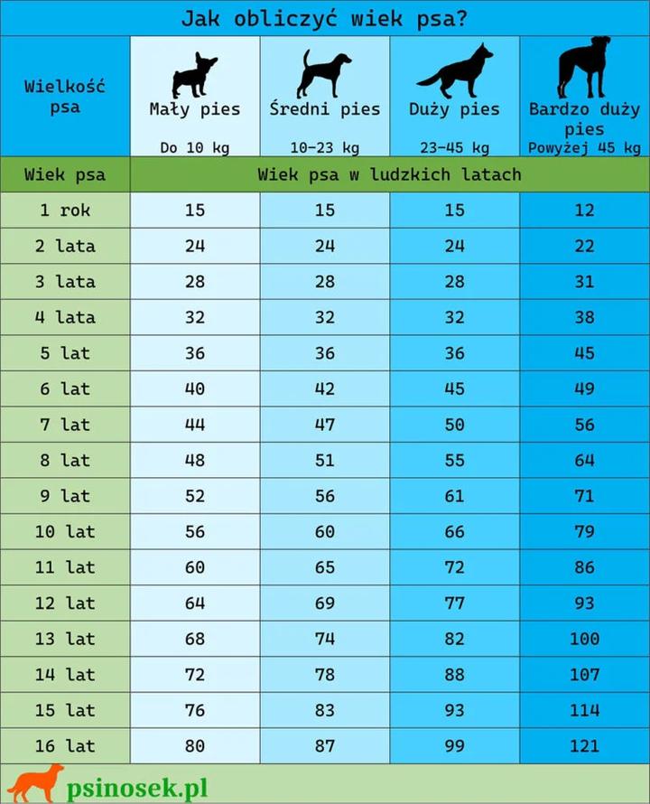 Rozwój i starzenie psów