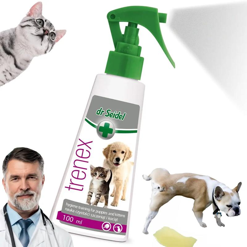 Szkolenie psa komenda siad