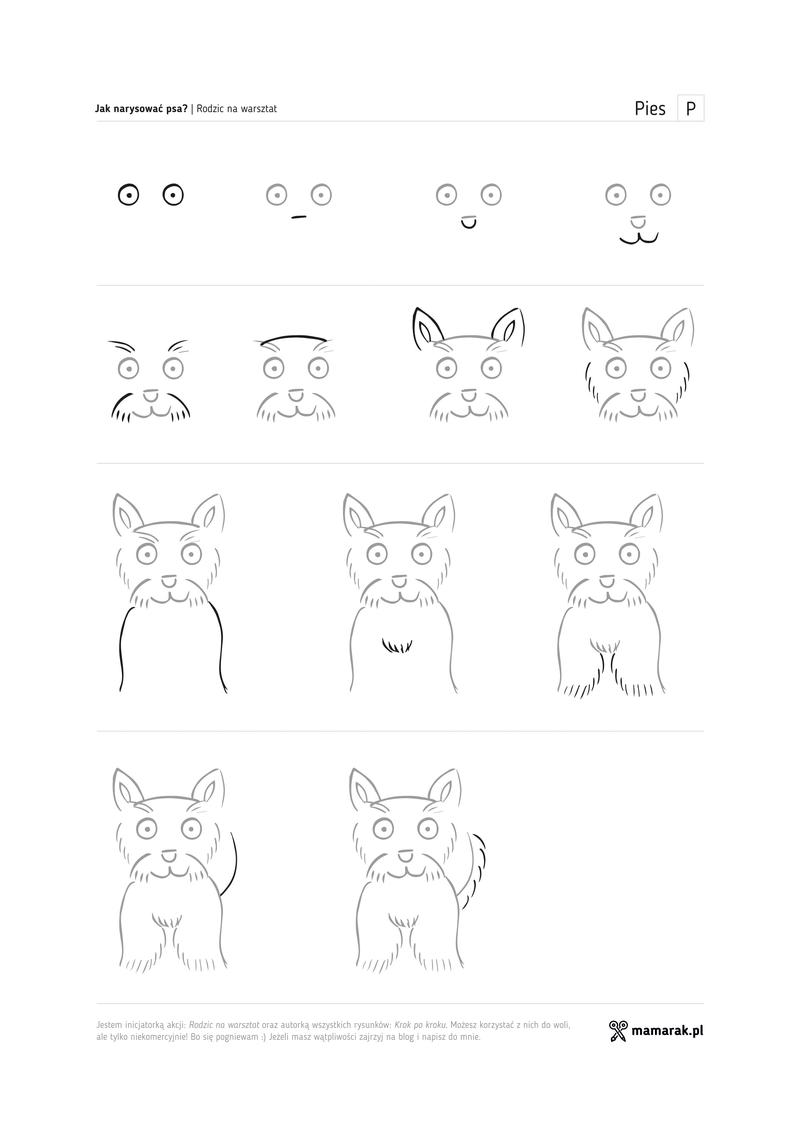 Techniki rysunku zwierząt