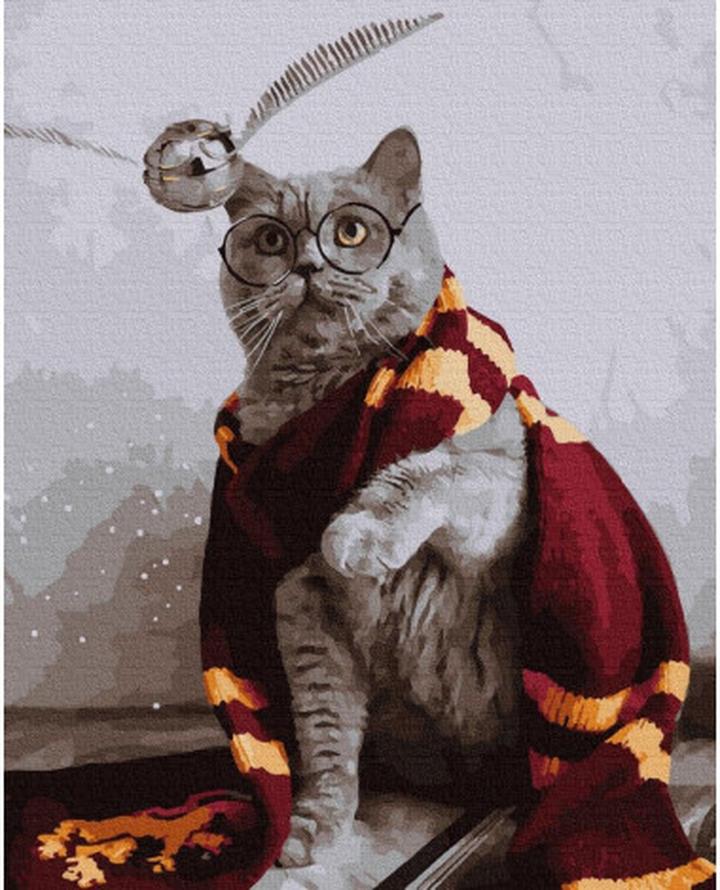 Tęczowe odchody u kotów