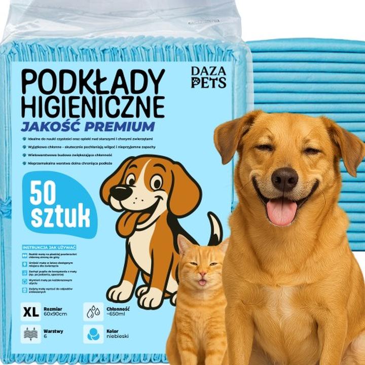 Typowe błędy w treningu psa