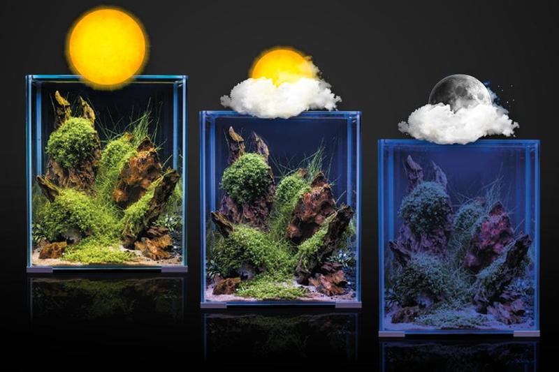 Wzrost roślin akwariowych a oświetlenie